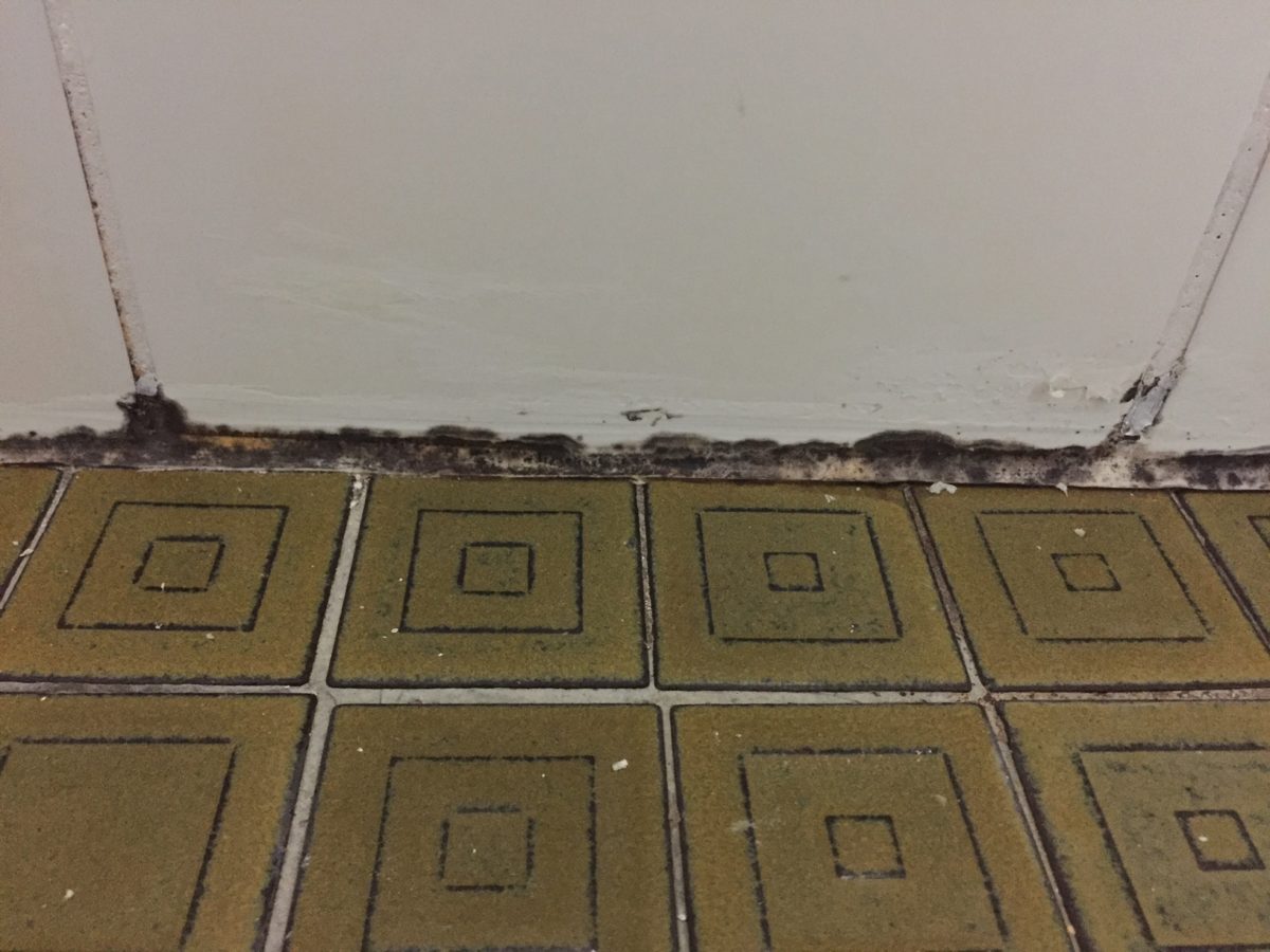 Infiltrazioni d&#8217;acqua piovana in casa