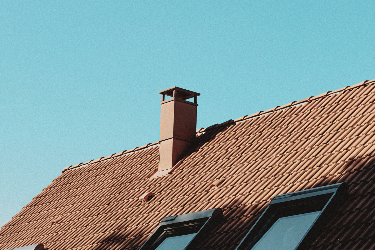 canna fumaria in primo piano