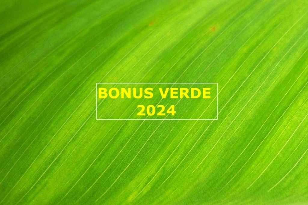 Bonus verde 2024: come funziona, a chi spetta e come ottenerlo